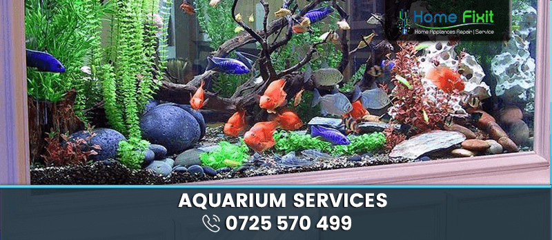 Fish Aquarium Repair in Nairobi, Kenya