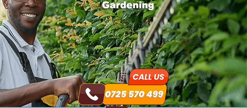 Gardening Service in Nairobi | 0725570499 — Machine Repair Nairobi