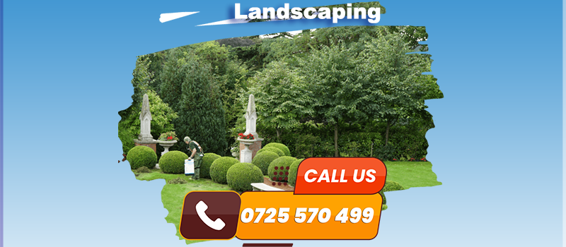 Drip Irrigation Setup Service in Nairobi, Kenya — Machine Repair Nairobi