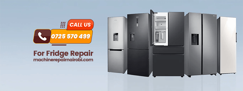 Fridge Electrical Component Fixes