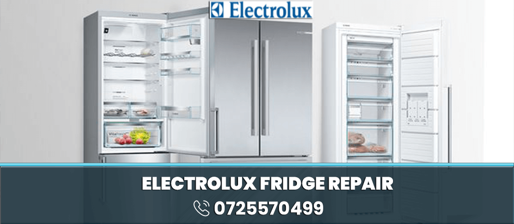 Electrolux Fridge Repair in Nairobi