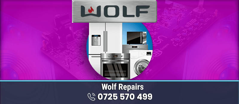 Wolf Service Center in Nairobi Kenya