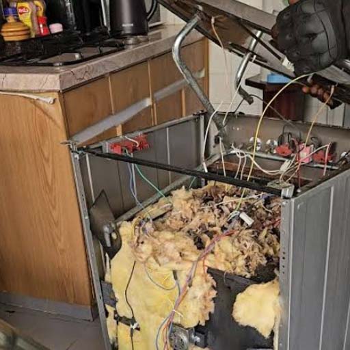 Dishwasher repair technician